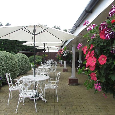 Bed and Breakfast Decoy Barn Fritton Esterno foto