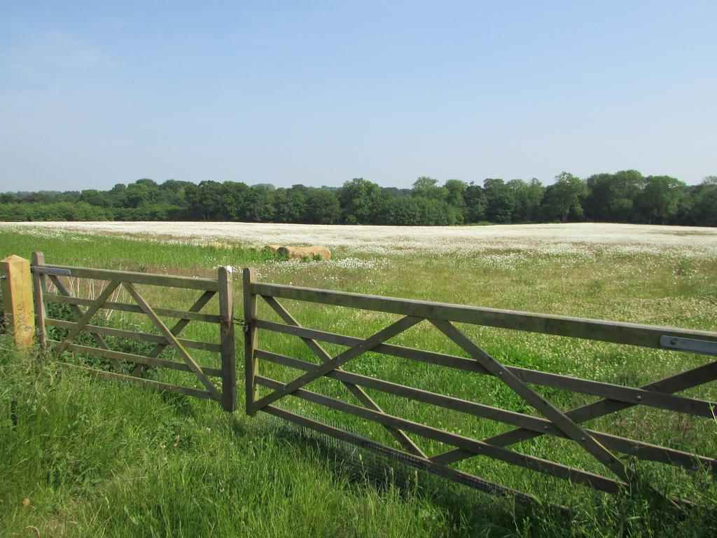 Bed and Breakfast Decoy Barn Fritton Esterno foto