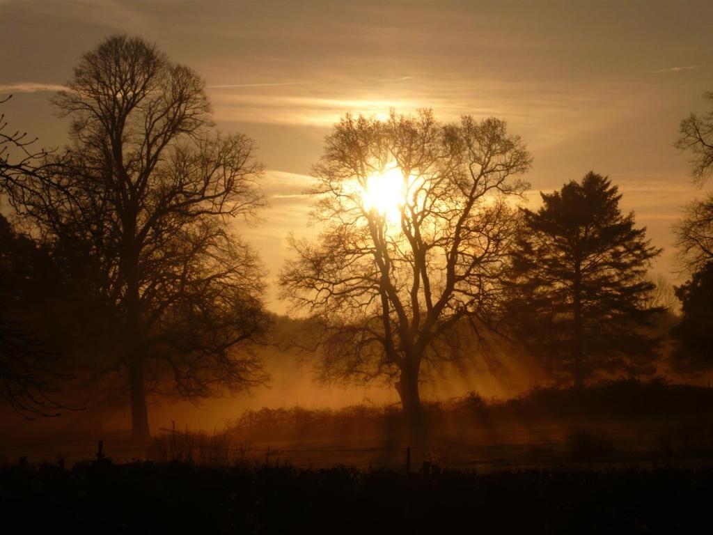Bed and Breakfast Decoy Barn Fritton Esterno foto