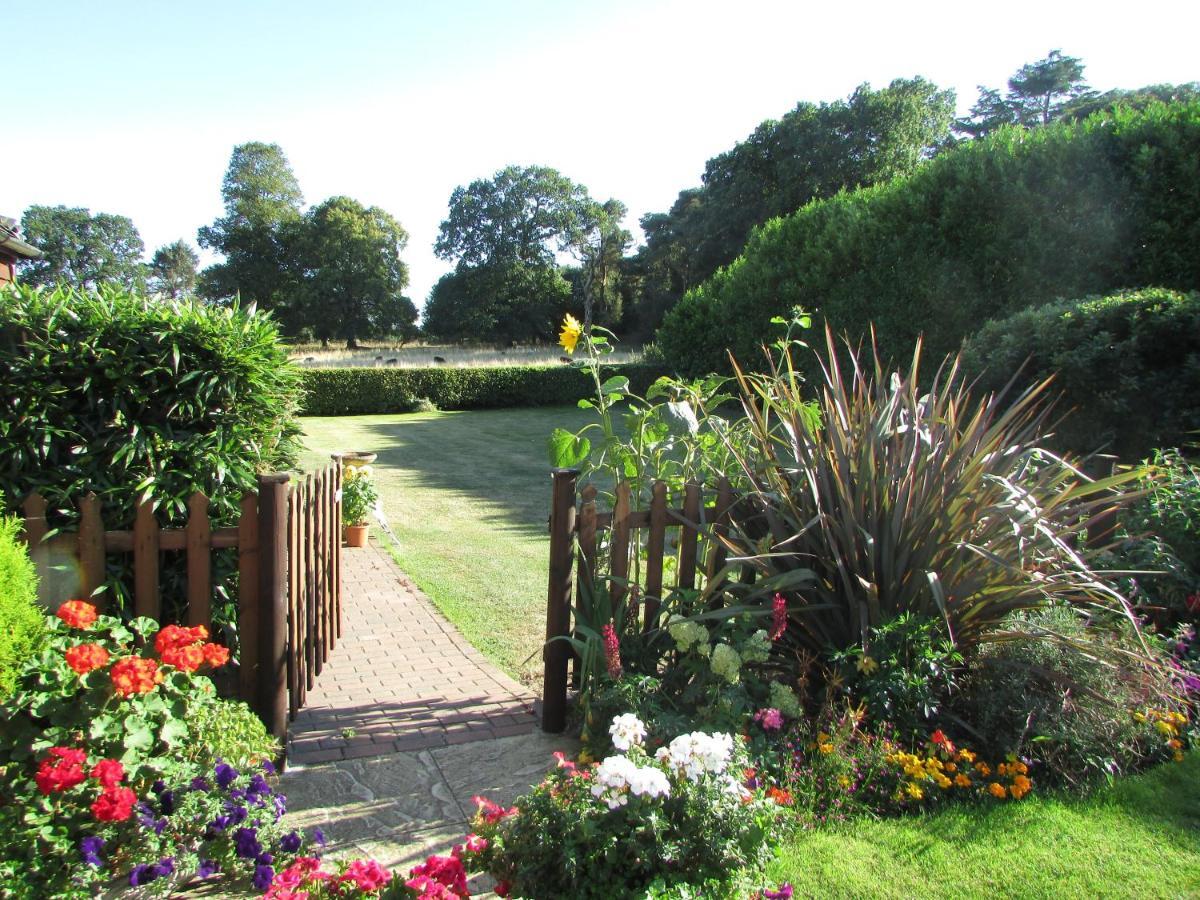 Bed and Breakfast Decoy Barn Fritton Esterno foto